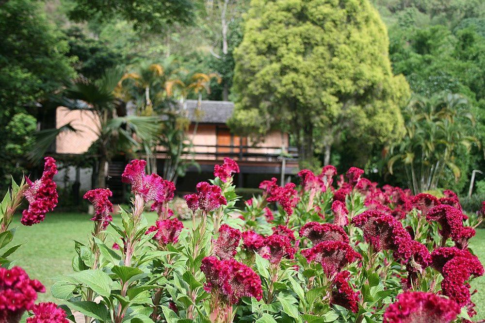 Phu Ing Fah Resort Pongjeng Kültér fotó